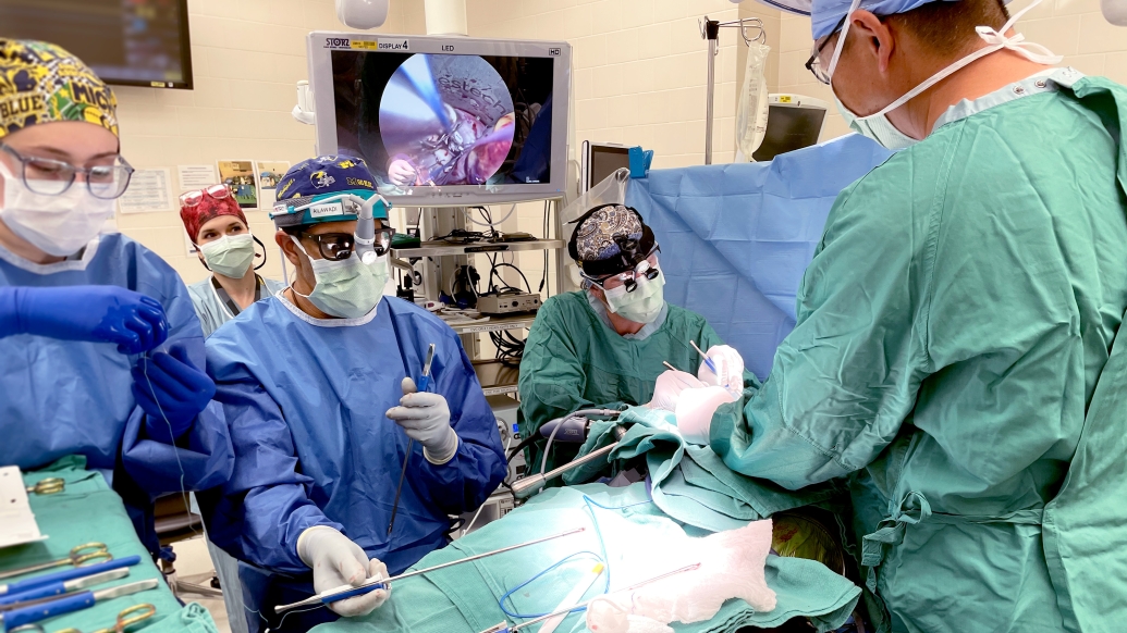 Treating heart valve disease What are your options? University of