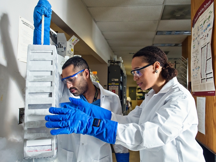 Students wearing white coats and goggles while working