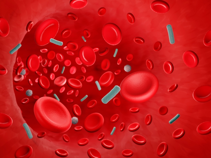 Illustration of red blood cells and bacteria in the bloodstream