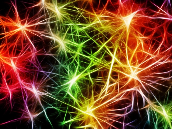 A colorful graphic of brain neurons