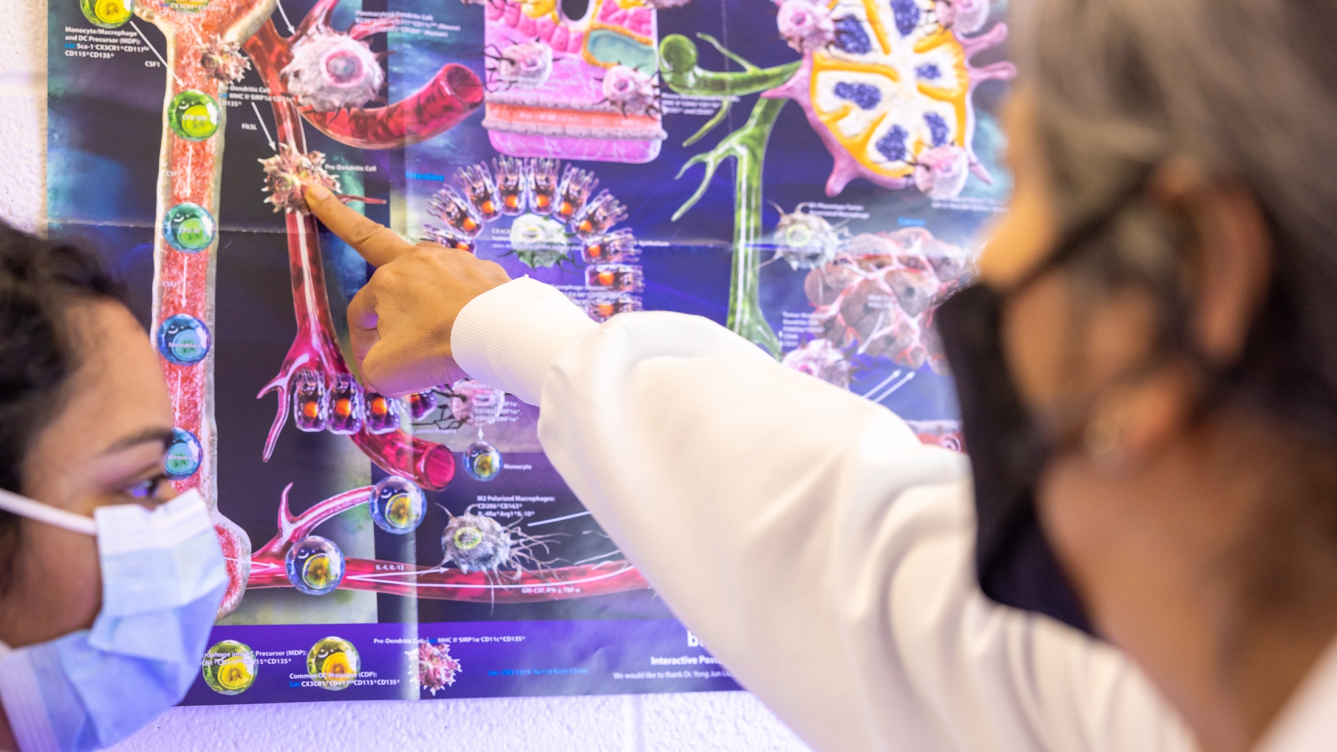 Viral Pathogens University of Michigan Medical School