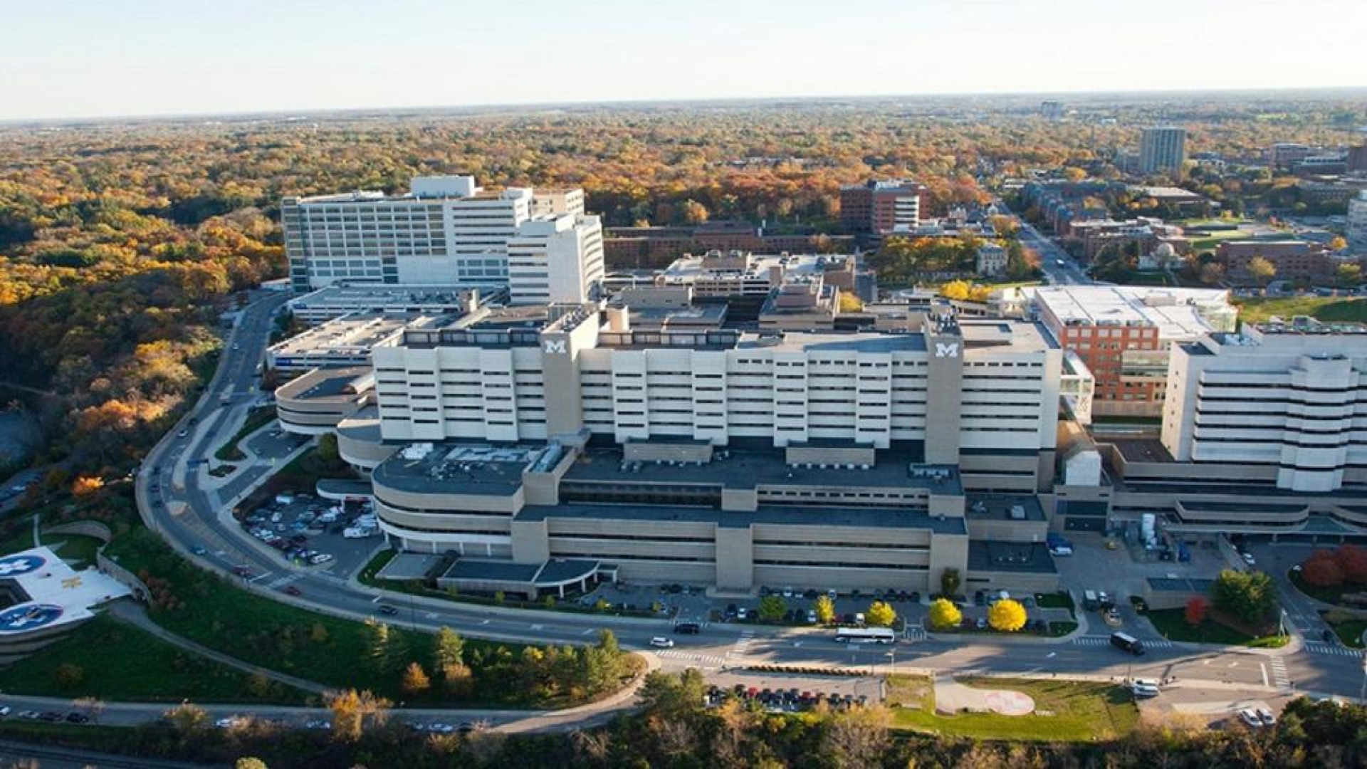 About Rheumatology University of Michigan Medical School