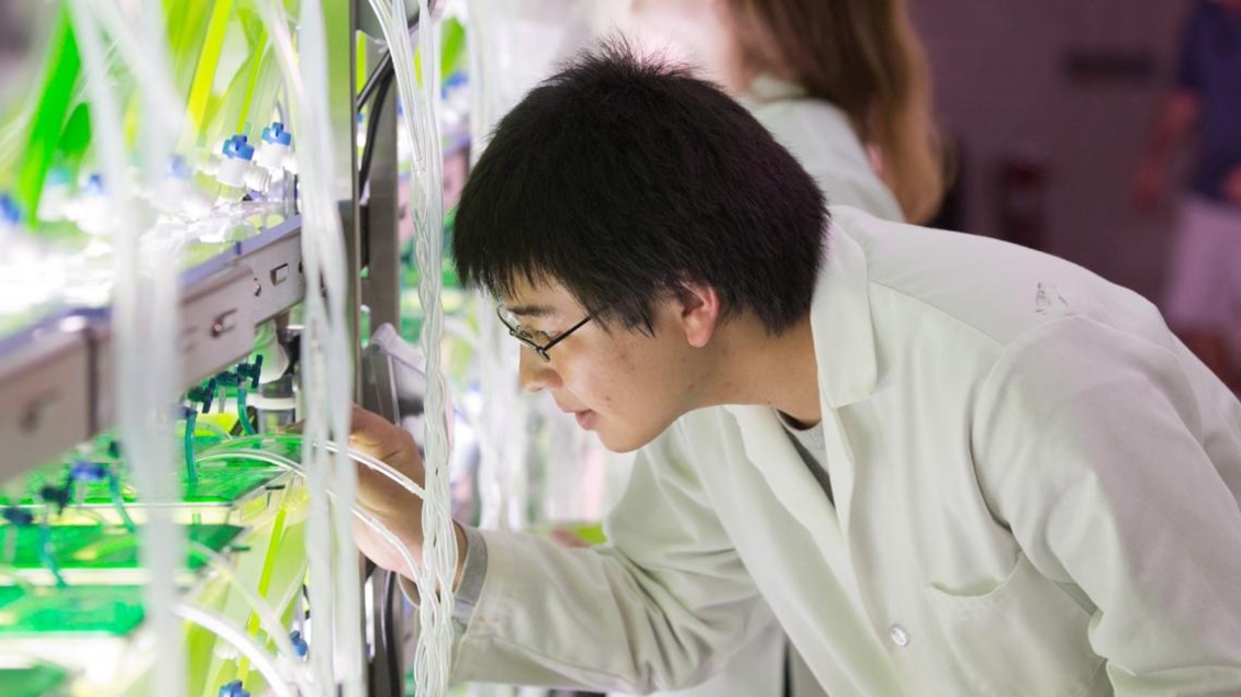 Person working in a lab