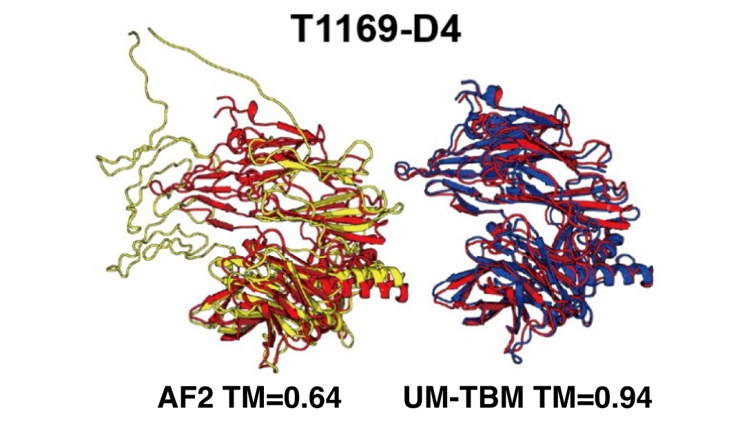 Cell manipulation diagram 