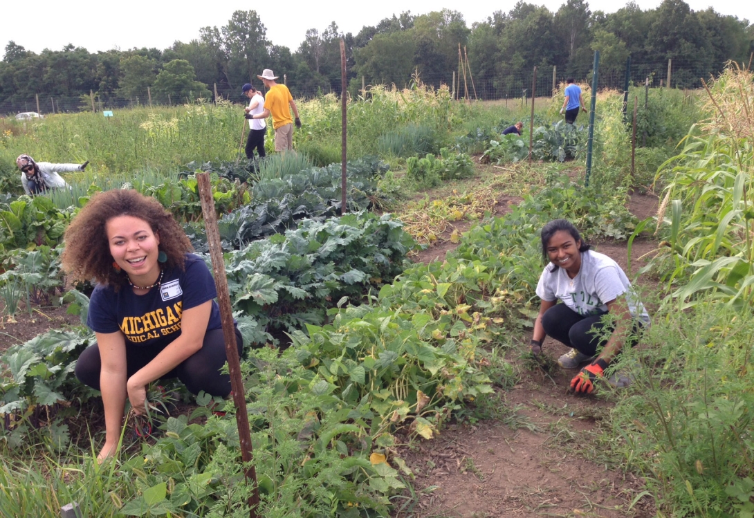 Students in garden working together